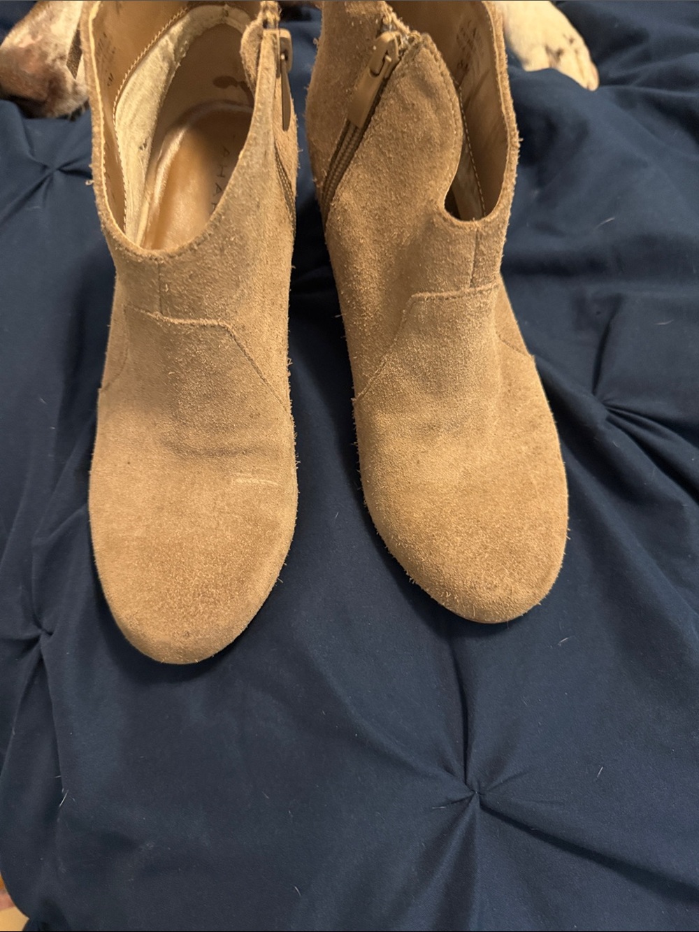 Tahari Tan Suede Ankle Booties with Side Zip